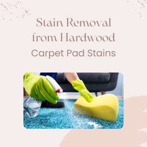 Stain Removal from Hardwood Carpet Pad Stains