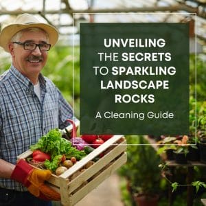 Secrets to Sparkling Landscape Rocks Guide
