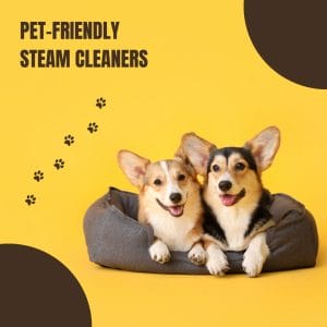 Right Pet-Friendly Steam Cleaners