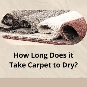 Time required Carpet to Dry